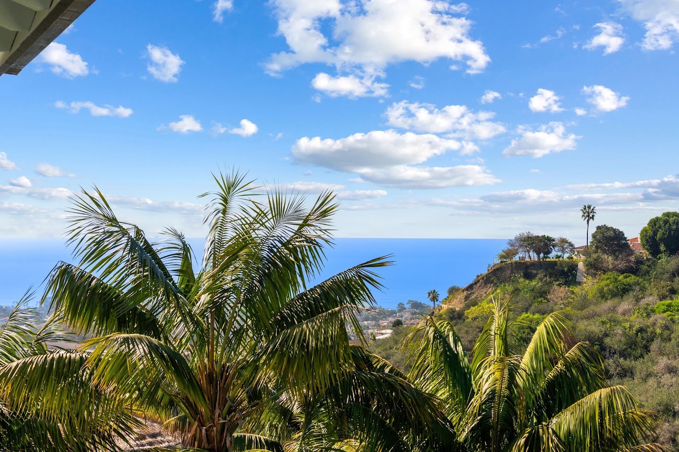 翻新后：525 E Avenida San Juan, San Clemente, CA，照片 55