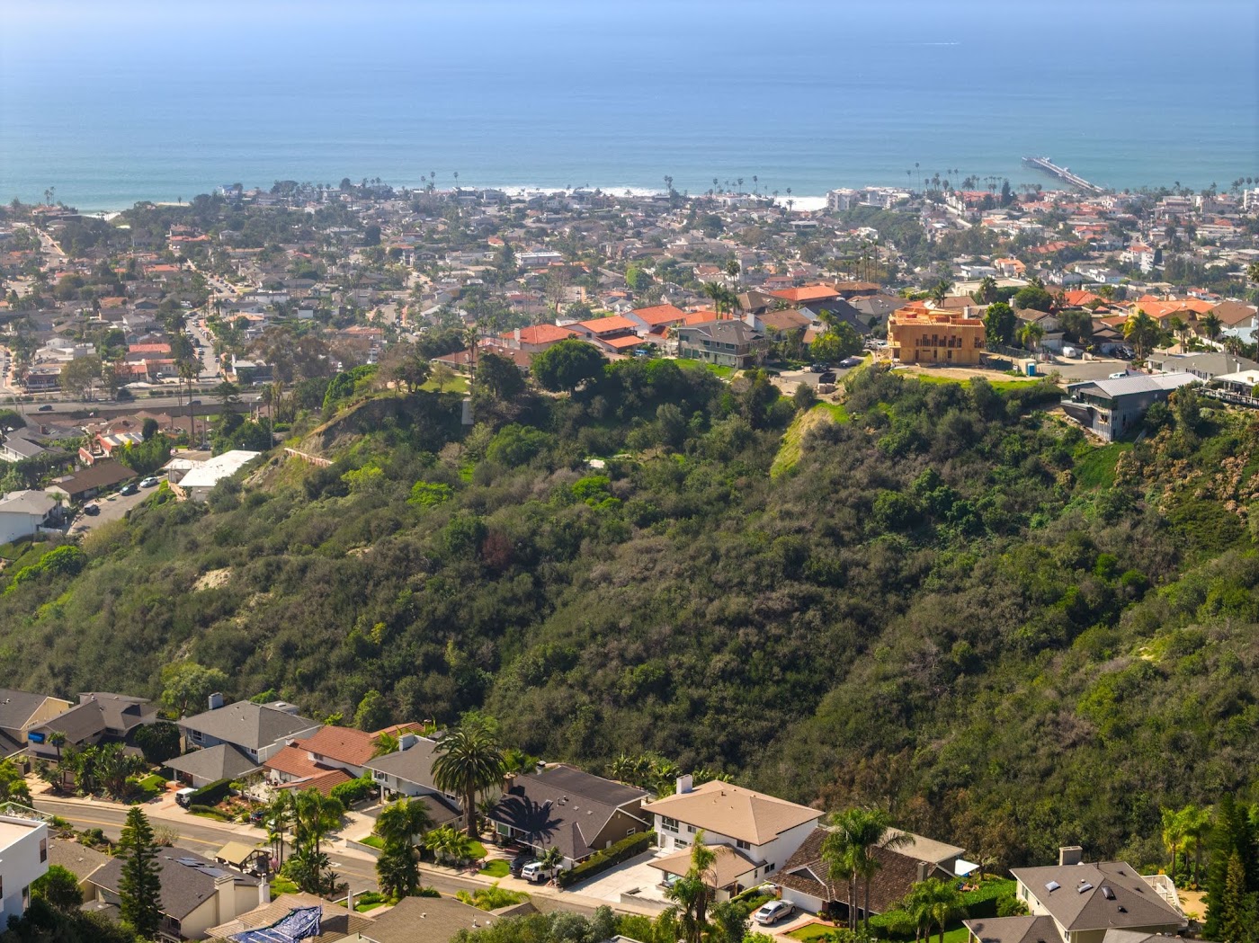 翻新后：525 E Avenida San Juan, San Clemente, CA，照片 58